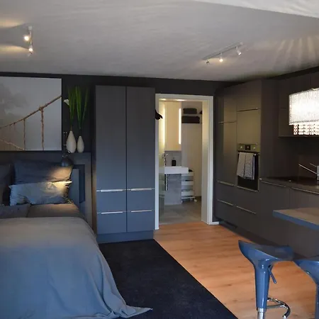 Stadt- und Kliniknahe 1 Zimmer Wohnung mit Terrasse + Apartment