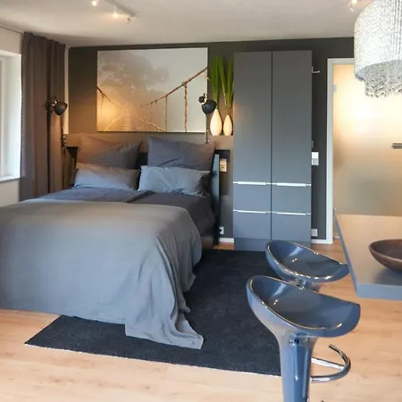 Stadt- und Kliniknahe 1 Zimmer Wohnung mit Terrasse + Apartment *